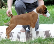 Zoom