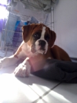 Zoom