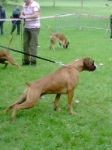 Zoom