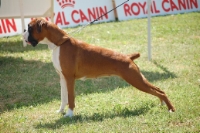 Zoom