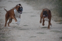 Zoom